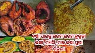 ବର୍ଷା ପାଗରେ ଆଜି ଘରେ ଏକା ସାଙ୍ଗରେ ହେଲା ଗରମ ଗରମ ମାଛ ତରକାରୀ, ମ୍ୟାଗି,କୁକୁଡ଼ା କଷା ଖାଇବା ପୁରା ଉଡ଼ିଲା