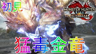 【モンハンサンブレイク】嫁のほうが強い件について！金レイア編ストーリー実況part19【モンスターハンター】【MHRS】最強解説Switch初見装備ライズRiseアップデート傀異錬成リオレイア希少種