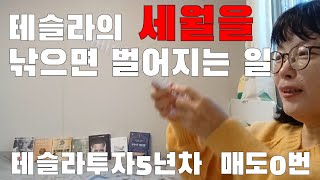 2000달러가 될 때까지 이것만 하면 성공한다 ㅣ테슬라의 세월