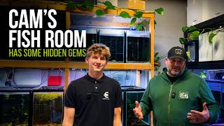 Cam’s Fish Room Has Some Hidden Gems