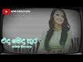 එදා මෙදා තුර|ශශිකා|Eda meda thura|Shashika Nisansala|එ හඩ