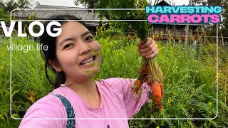 A day in my grandpa’s kitchen Garden||village lifestyle vlog ||Arunachal Pradesh 🇮🇳