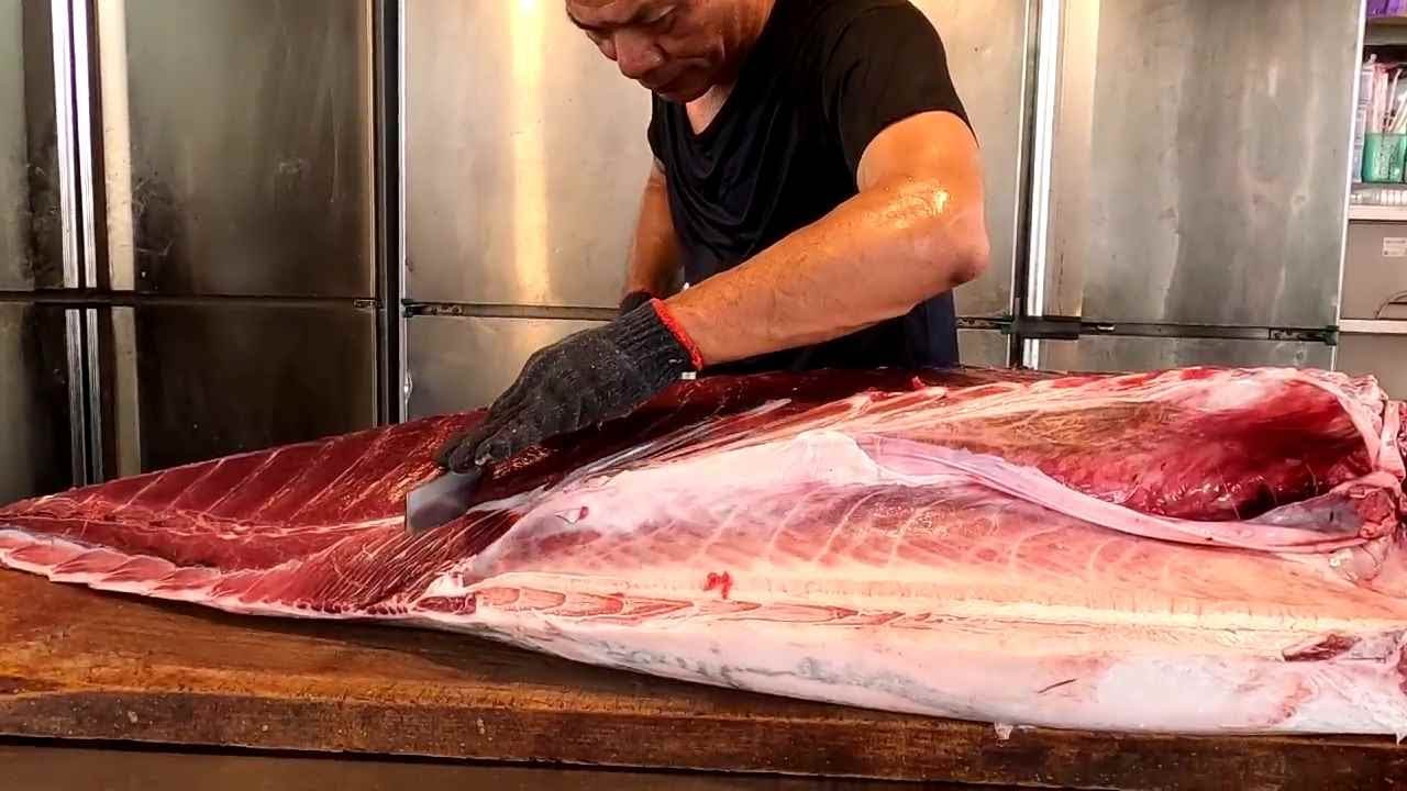 250kg Giant Bluefin Tuna Otoro Cutting For Sashimi Youtube