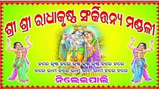 Nileipali kirtan l Best Udan kirtan l#kirtan  #udan #bhajan#viral #odia #sambalpuri