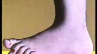 Monty Python's Flying Circus - Main Theme