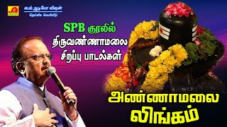 அண்ணாமலை லிங்கம் பாடல் | Annamalai lingam Song | subam Audio Vision #shivansongs #devotionalsong