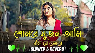 Shonre Sujon Ami Boli Je Tore Lofi | শোনরে সুজন আমি বলিযে তোরে | Slowed \u0026 Reverb | Bangla Lofi Song