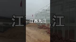 玻璃温室大棚内部做地平