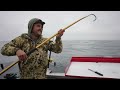 the hunt for giant halibut u0026 lingcod homer alaska