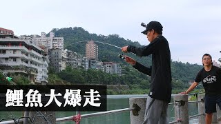 在觀光勝地釣魚，遭遇鯉魚群大爆走!!  | ft. DUKK | 【 歐式庫釣-鯉魚】