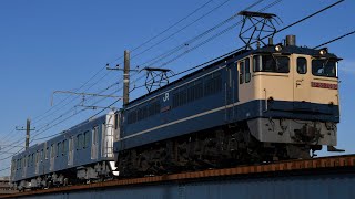 [静鉄甲種]9883レ　EF65 2090+静鉄A3012F  大盛況の鶴見川