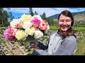 Bridgerton Massive Peony and Tulip Arrangement