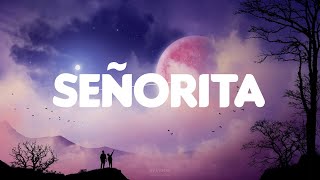 Señorita - Shawn Mendes (Lyrics)