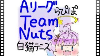 白猫テニス　TaemNuts・ｂｙらぴぽ ステジャーライブ　PRADAしちゃんとコラボ