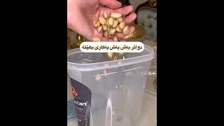 store nuts -shewazi halgrtny charzat - چۆن چەرەسات بە تازەیی بمێنێتەوە؟ شێوازی هەڵگرتنی چەرەزات