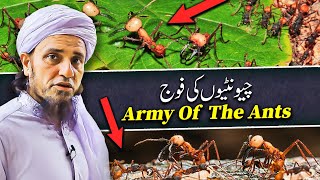 Army Of The Ants | Mufti Tariq Masood Speeches 🕋
