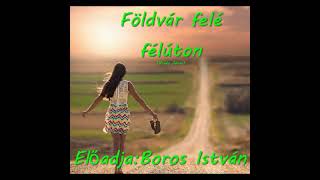 Boros István - Földvár felé félúton  (2021)