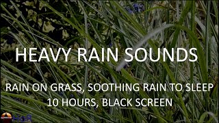 Sounds for Sleeping and Relax, Heavy Rain on Grass, 10 Hours Black Screen by House of Rain
