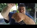 Joeys World Tour eats Green Wasabi