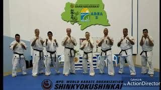 Entrenamiento Kyokushin karate SHINKYOKUSHINKAI Regional Área 2 Canelones ciudad de Pando