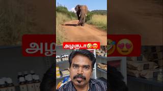 Oooh😍😍 #என்னமா டான்ஸ் ஆடுறான் 🤣🤣, கட்டழகன் டா நீ 🤣🤣,#trendingshorts, #tamilviral, #elephant,