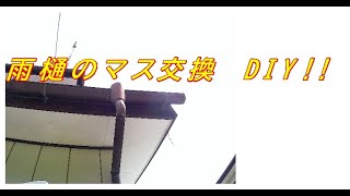 雨樋マス交換をDIYしてみた