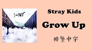 【韓繁中字】Stray Kids(스트레이키즈) - Grow Up(잘 하고 있어/做得很好) (Lyrics/歌詞/가사)