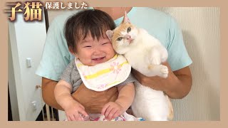 【大爆笑】赤ちゃんと猫達に話題の壁猫チャレンジをしてみたら…笑