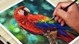 Watercolor Painting of a Macaw Parrot