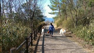 上野森林公園