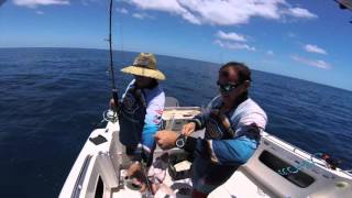 Mackay, Prince Reef Fishing