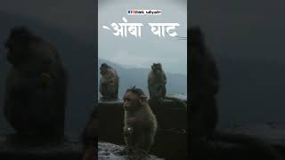 आंबा घाट || amba ghat. #shorts #shortvideo #subscribe #instadaily #blogger #ambaghat #instagood #tre