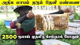 2500 முதலீடு இருந்தால் போதும் இந்த தொழில் தொடங்கலாம் | HONEY BEE FARMING BUSINESS | Pollachi Bazaar