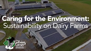 Caring for the Environment: Sustainability on Dairy Farms
