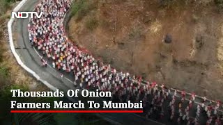 Video: Drones Show Thousands Of Farmers Marching Towards Mumbai