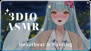 【ASMR】 Heartbeat and Purring ♥ No Talking + Dark Screen