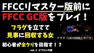 #3【FFCC初心者実況プレイ】【ゴブリンの壁編】ファイナルファンタジークリスタルクロニクル　リマスター版までにＧＣ版を全クリする