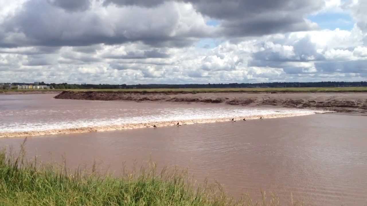 Surf Petitcodiac Youtube