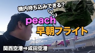 ピーチ国内線（関空⇒成田）搭乗記🍑機内持ち込みは厳しい?!