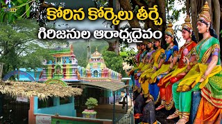 కోరిన కోర్కెలు తీర్చే గిరిజనుల ఆరాధ్యదైవం | Paderu Modakondamma Temple,Andhra Pradesh | Eyecon facts