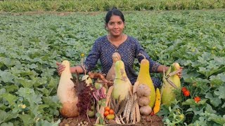 உங்கள் நாட்டு தோட்டத்துக்கான சிறந்த காய்கறி விதைகள்! #vegetables #vegan #salem #farming #green