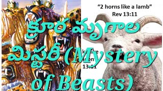 క్రూర మృగాల మిస్టరీ (Mystery of Beasts)