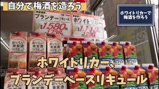 727、宇部市 こだわりの酒屋 梅酒 ホワイトリカー ブランデー 氷砂糖  梅酒の作り方 果実酒