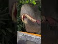 welcome to~侏羅紀沒公園 jurassic no park🦖🦖🦖