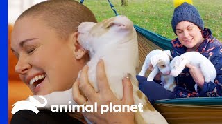 Two Blind Pups Are Looking For Their Forever Homes | Amanda To The Rescue