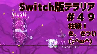 Switch版テラリア実況プレイ！＃４９