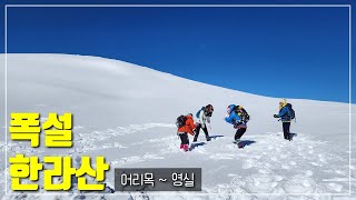 폭설 내린 다음날 허벅지까지 쌓인 역대급 눈꽃세상❄️ 제주 한라산 어리목 영실 등산 산행 코스👍 민낯여성산악회가 다녀왔어요👭