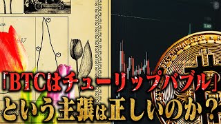 【よくある批判】「ビットコインはチューリップバブル」という主張は正しいのか？