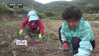 생활의 발견 - 통통통 섬마을 - 하조도.20181029