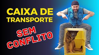 Caixa de Transporte SEM CONFLITO: Ensine seu Cão Amar a Caixa de Transporte!